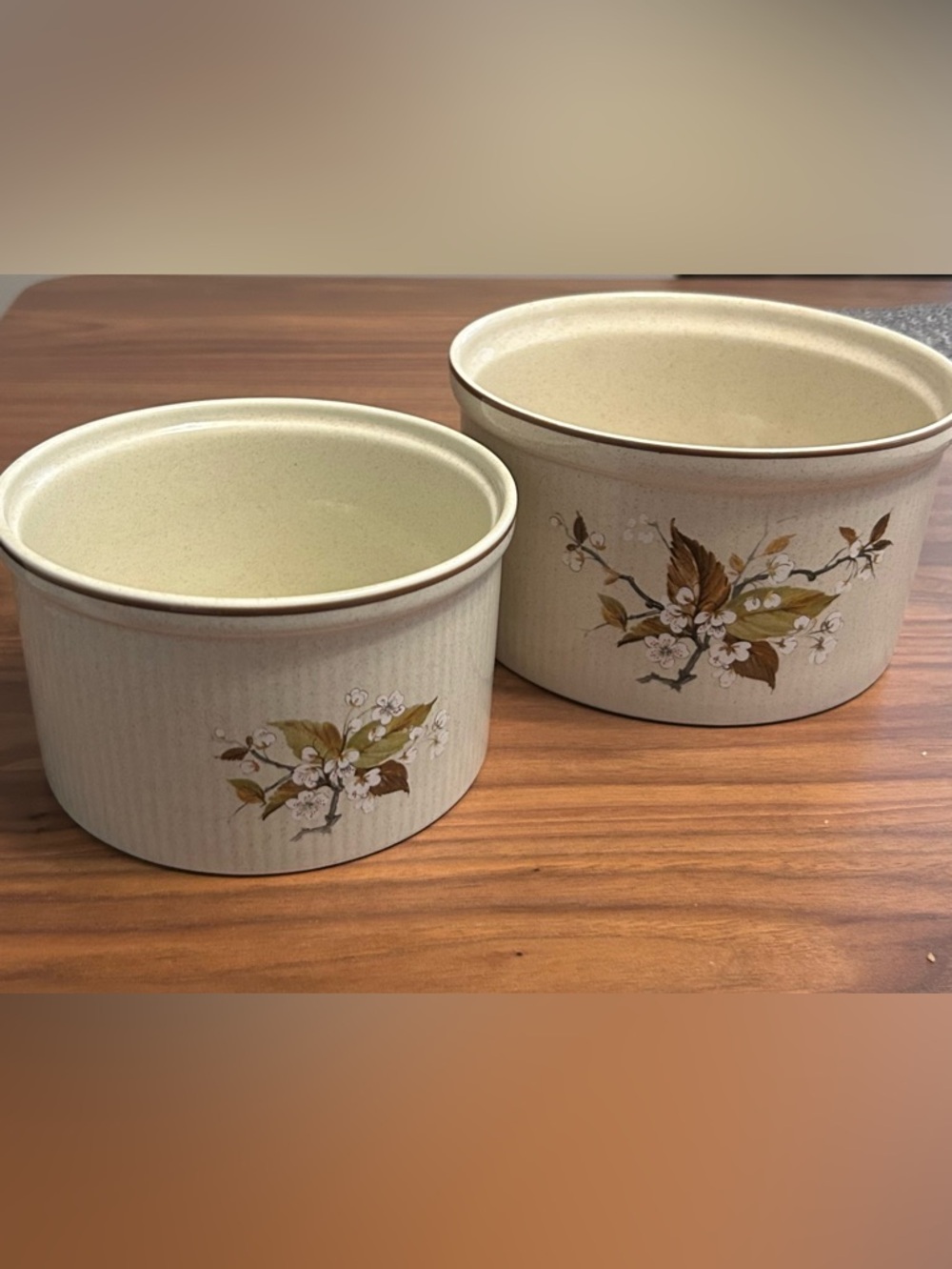 Royal Doulton Lambethware Wild Cherry Bowls Set of 2